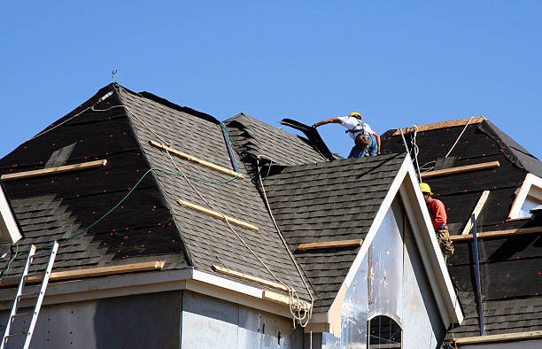 Best Roof Insulation Installation  in USA